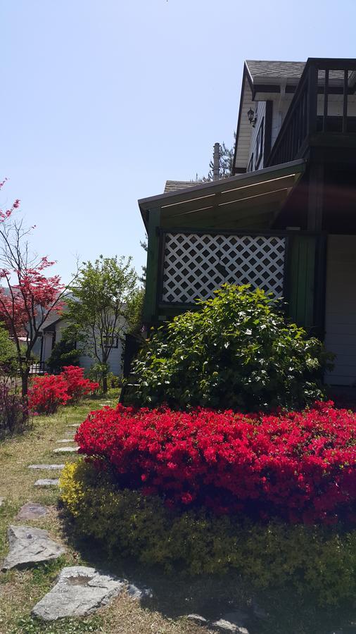 Dacha Pension Pyeongchang Exteriör bild